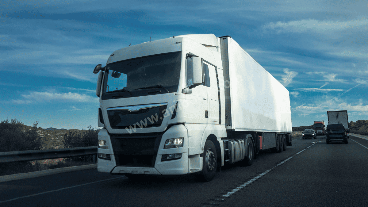 Muğla Şehirler Arası Taşıma